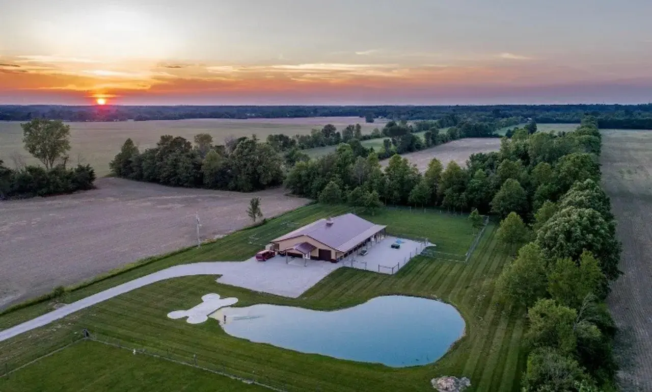 Two dogs playfully interacting with toys during playtime