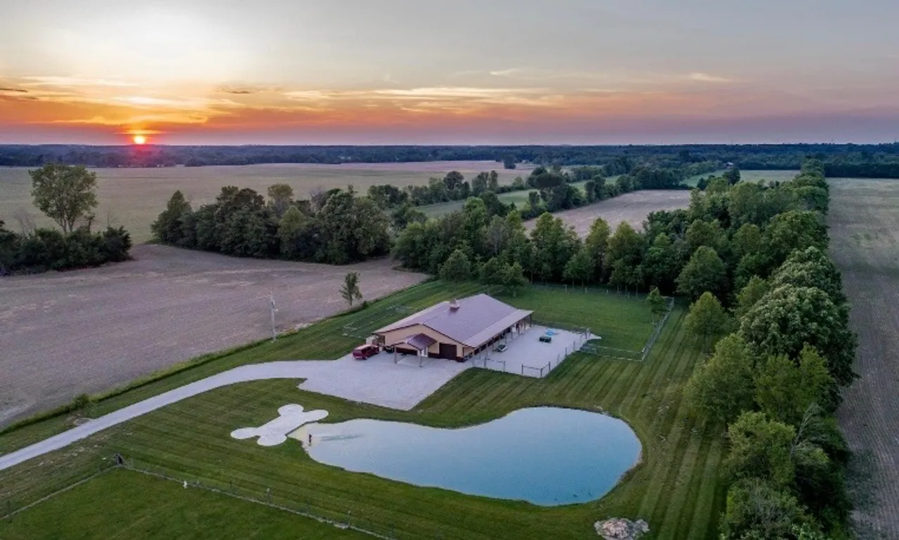 Dog Training - Professional dog care service at Come Sit & Stay